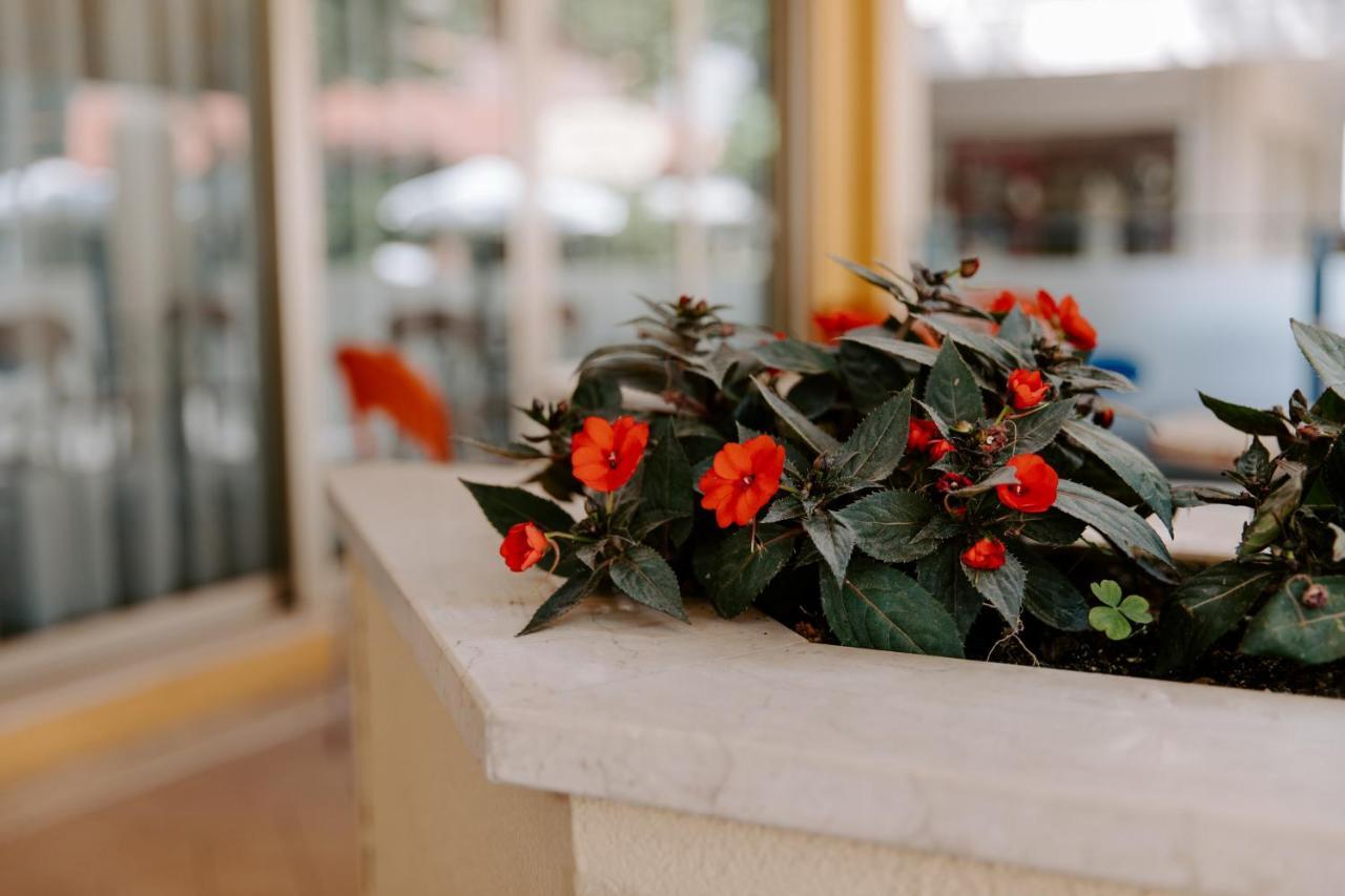 Hotel Edward Bellaria-Igea Marina Dış mekan fotoğraf